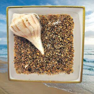 Beach Theme Trinket Dish #1794